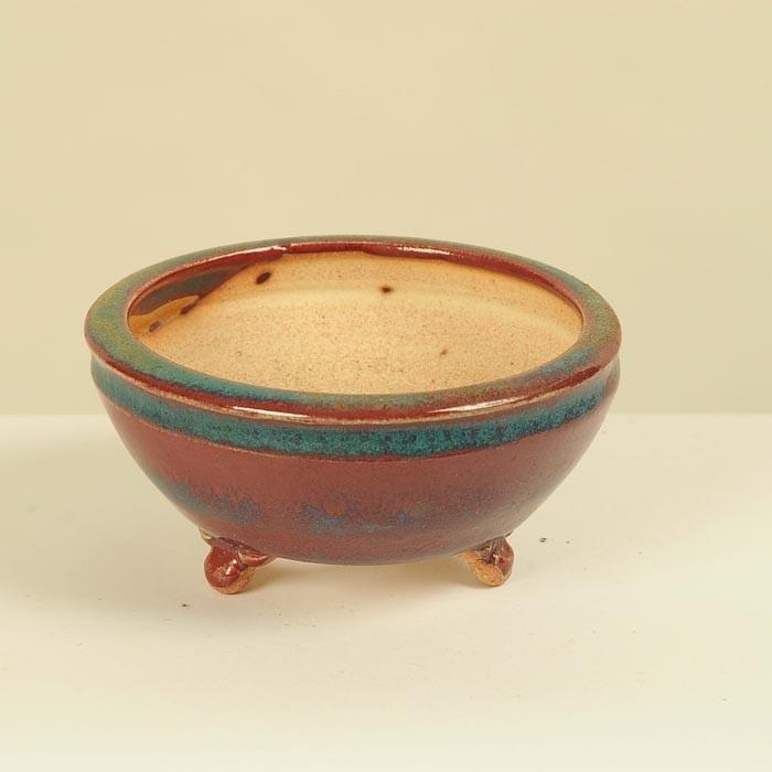 盆栽小鉢：英明（耀山） (丸鉢 9.0cm)* 資材 : 遊恵盆栽 Yahoo!店