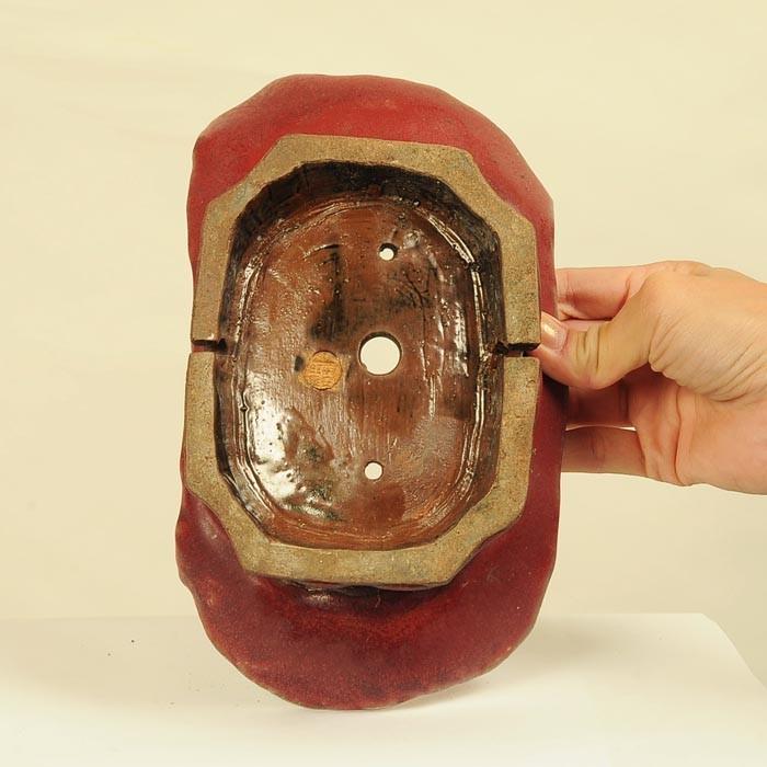 盆栽小鉢：平安虹泉 (長方鉢 22.0cm)*資材 : 遊恵盆栽 Yahoo!店 - 通販