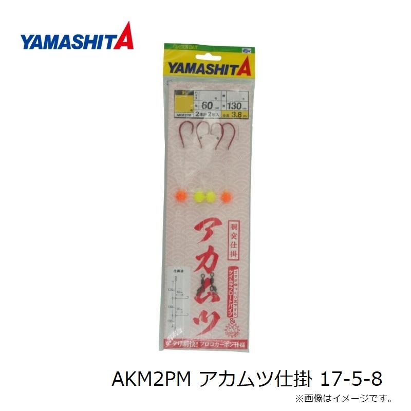 ヤマシタ AKM2PM アカムツ仕掛 17-5-8 : つり具のBunBun Yahoo!店