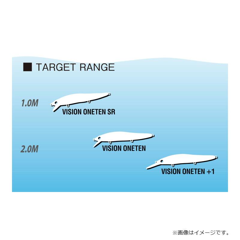 Megabass（メガバス） VISON ONETEN SR ビジョンワンテンSR SH 瀬アユ
