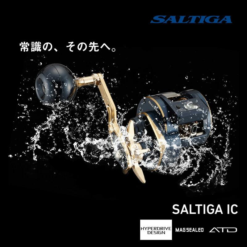 DAIWA（ダイワ） 21ソルティガIC 100 / 右ハンドル : つり具のBunBun