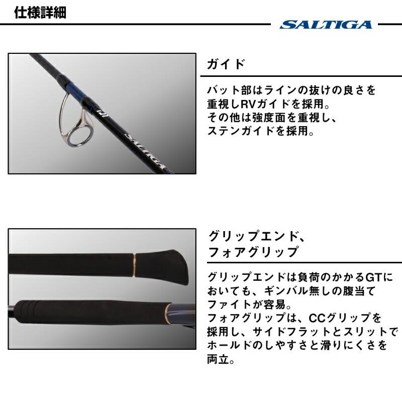 DAIWA（ダイワ） ソルティガC エクスペディション 82-6 : つり具の