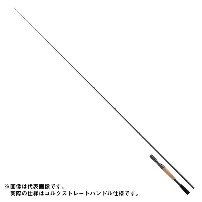 DAIWA（ダイワ） スティーズ ショアコンペティション SC C64ML+ -LM