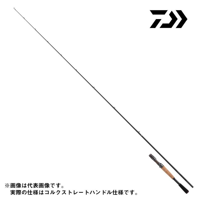 DAIWA（ダイワ） スティーズ ショアコンペティション SC C64ML+ -LM