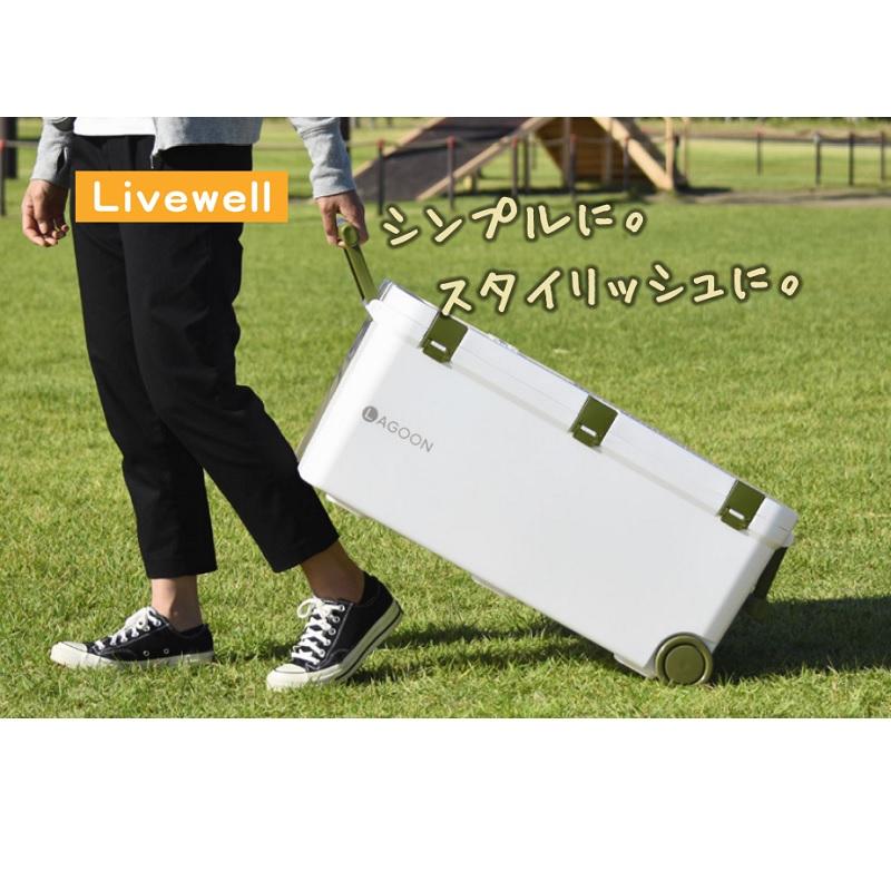 伸和 ラグーン 45L カーキの画像