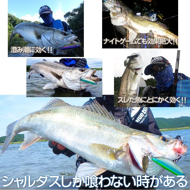 ブルーブルー シャルダス20 #25 ダブルチャートシルバー : つり具の
