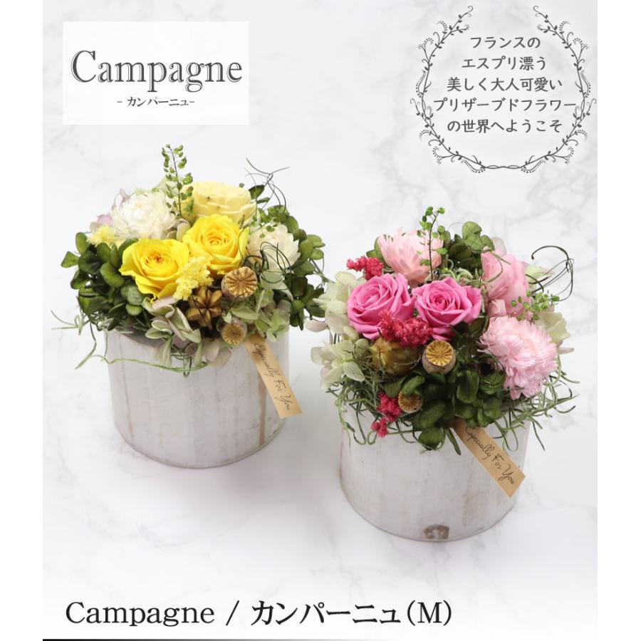 大阪長生堂 プリザーブドフラワー 選べる2色 カンパーニュ（M） 送料