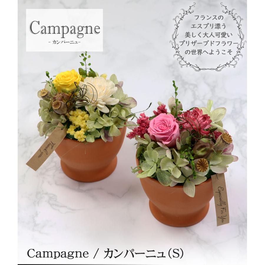 大阪長生堂 プリザーブドフラワー 選べる2色 カンパーニュ（S） 送料