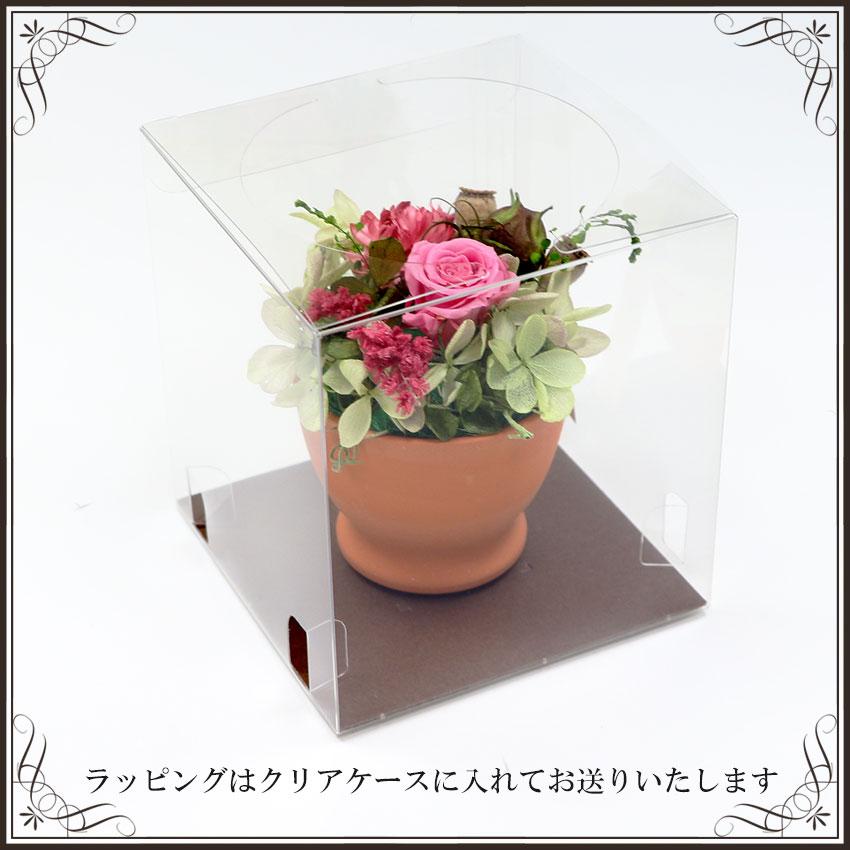 大阪長生堂 プリザーブドフラワー 選べる2色 カンパーニュ（S） 送料