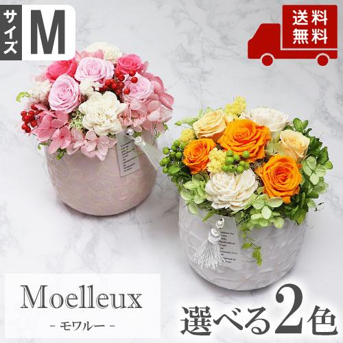 早割クーポン プリザーブドフラワー 選べる2色 モワルー M 送料無料 誕生日 母の日 花 ギフト お花 フラワーアレンジメント フラワーギフト 売り切れ必至 Atempletonphoto Com