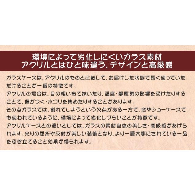 大阪長生堂 人形ケース ガラスケース 組み立て式 コンパクト ケース 内