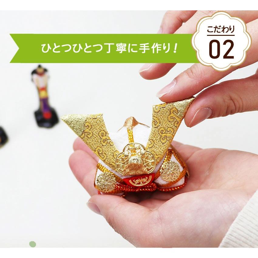 アガベ ホリダ 極上強棘 狂刺 激レア高級品種 大株(早い者勝ち アガベ ホリダ 極上強棘 狂刺 激レア高級品種 大株(早い者勝ち