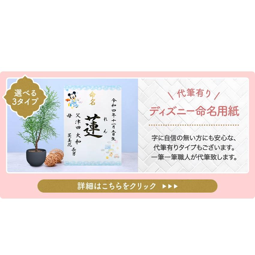 大阪長生堂 ディズニー 命名用紙 ミッキー ミニー くまのプーさん