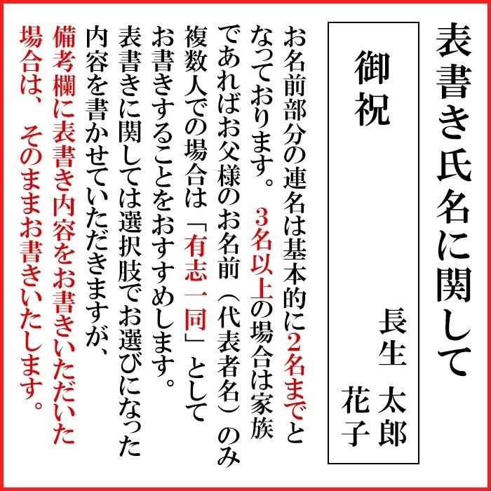 祝儀袋 ご祝儀袋 のし袋 代筆 無料 結婚 メール便なら 送料無料 おしゃれ 水引 3万円 から 10万円 に最適  fk104 .祝儀袋.｜y-chouseidou｜02