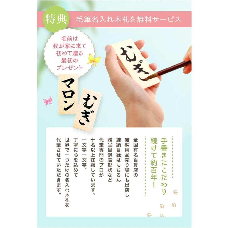 ペット 仏壇 祭壇 虹のメモリアル お供えセット 名入れ 木札無料特典付き 送料無料 クリスタル 供養 骨壷 遺品 ペット仏壇 Meri 57 107 結納屋 長生堂 ヤフーショッピング店 通販 Yahoo ショッピング
