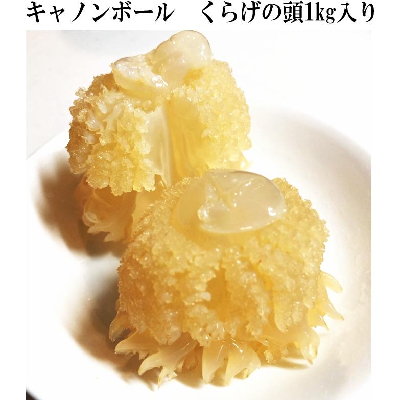 キャノンボール1kg くらげ 海月 中華 食品 高級 珍味 食感 咀嚼