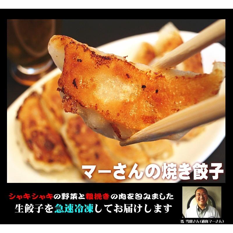横浜中華街通り マーさんの焼き餃子個入り クール便 Magyouza 横浜中華街通り 通販 Yahoo ショッピング