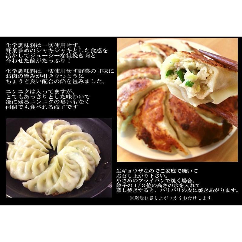 横浜中華街通り マーさんの焼き餃子個入り クール便 Magyouza 横浜中華街通り 通販 Yahoo ショッピング