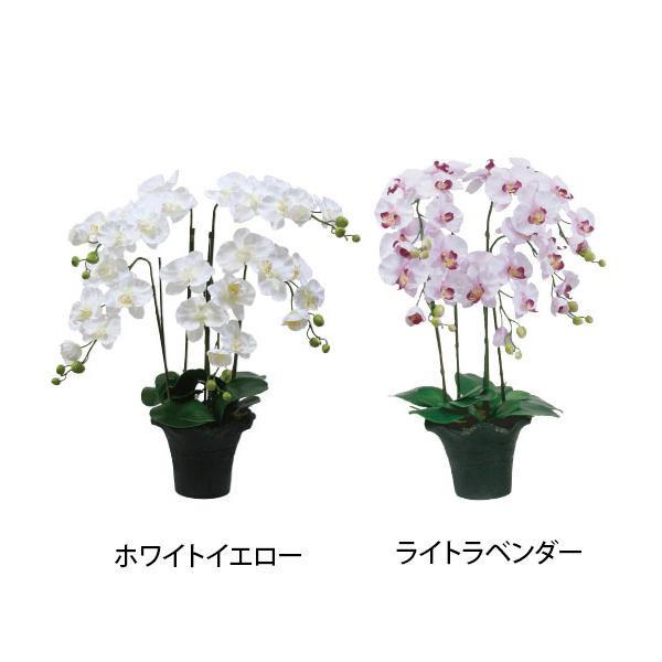 安い購入 ニューホンコン造花 コチョウラン 胡蝶蘭 5本立 全長64cm 花径11cm W50cm 同梱 送料無料 代引き手数料無料 Zoetalentsolutions Com