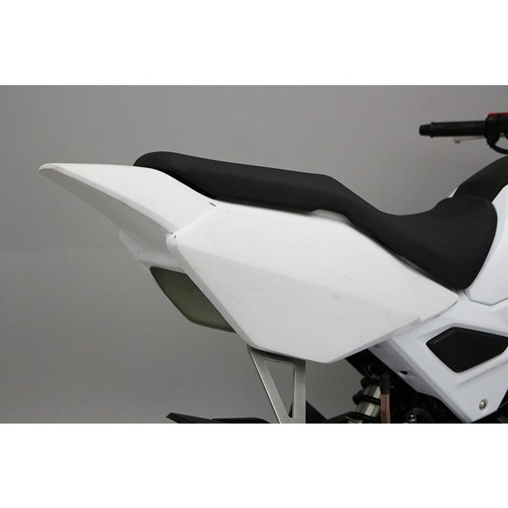 専用！ ENDURANCE（エンデュランス） 【レース専用】GROM グロム リヤナンバー