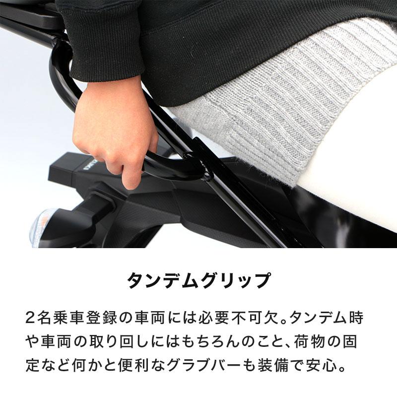 ENDURANCE（エンデュランス） GSX-S125 DL32B DL32D GSX-R125 DL33B 