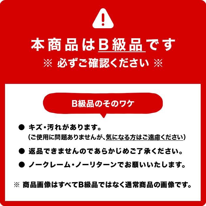 ENDURANCE（エンデュランス） 【B級品・訳あり】【返品不可】Ninja250