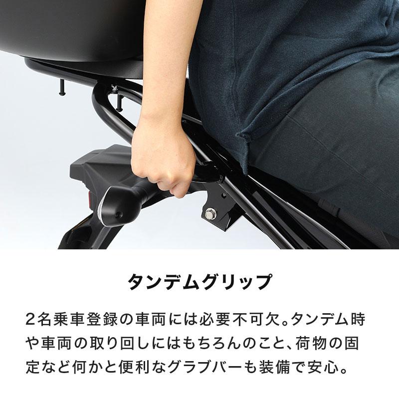 ENDURANCE（エンデュランス）SV650 SV650X VP55E VP55B タンデムグリップ付き リア キャリア バイク_15