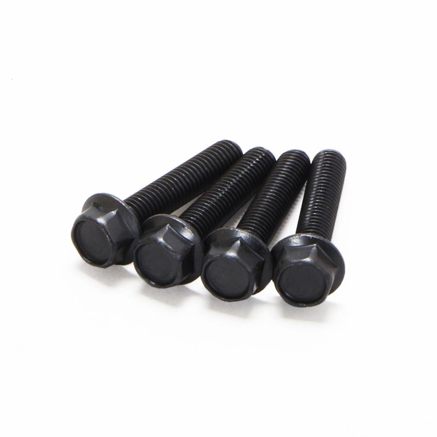 ブラックボルト　20パック ENDURANCE（バイク） フランジボルト M8×45mm/4本セット