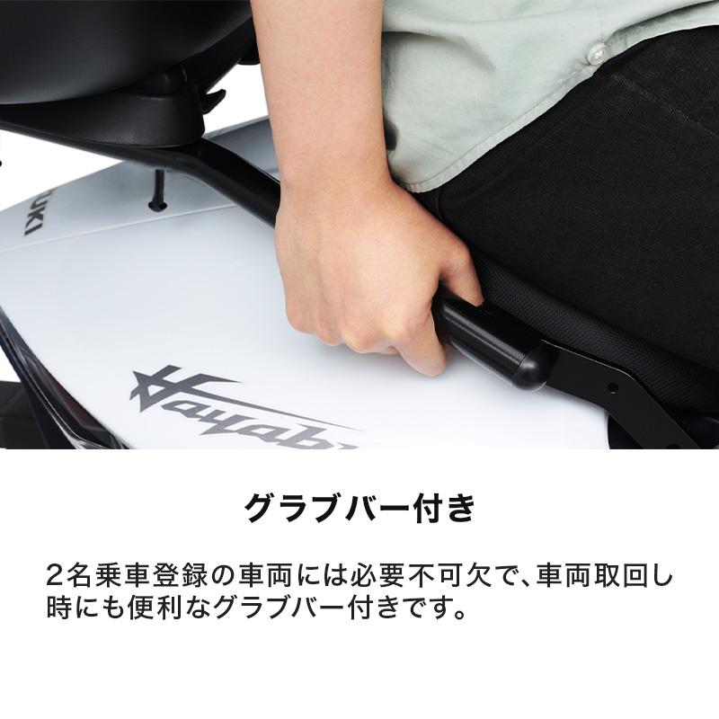 ENDURANCE（エンデュランス）HAYABUSA EJ11A リアキャリアの画像