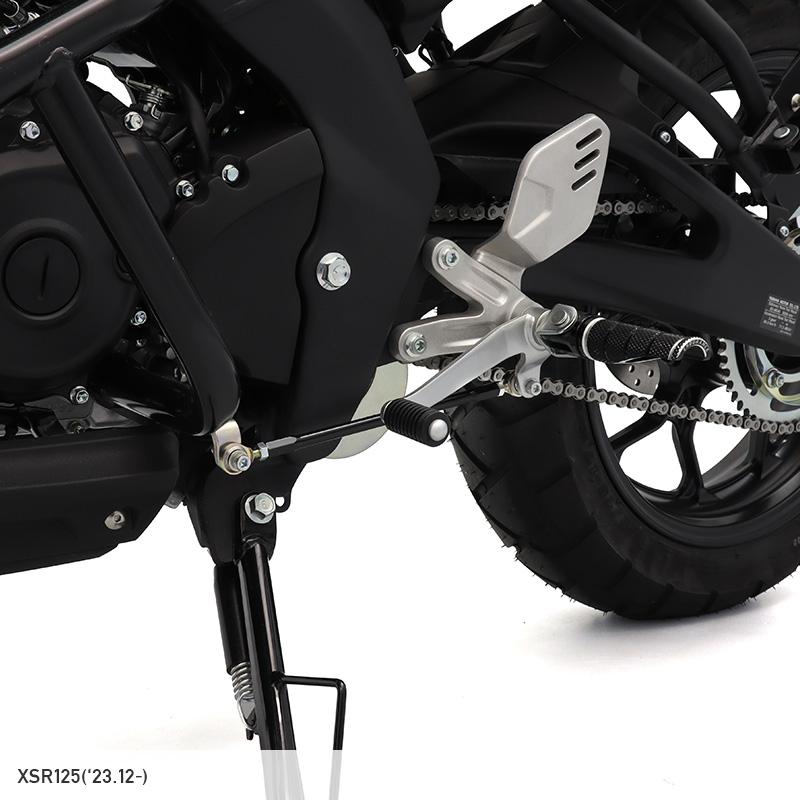 ENDURANCE（エンデュランス） XSR125 RE46J XSR155 RG63 チェンジ