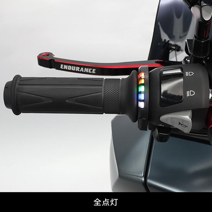 ENDURANCE（エンデュランス） FORZA MF13 グリップヒーターSP ホット