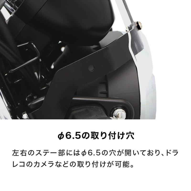 ENDURANCE（エンデュランス） Z650RS ER650M メーターバイザーロング