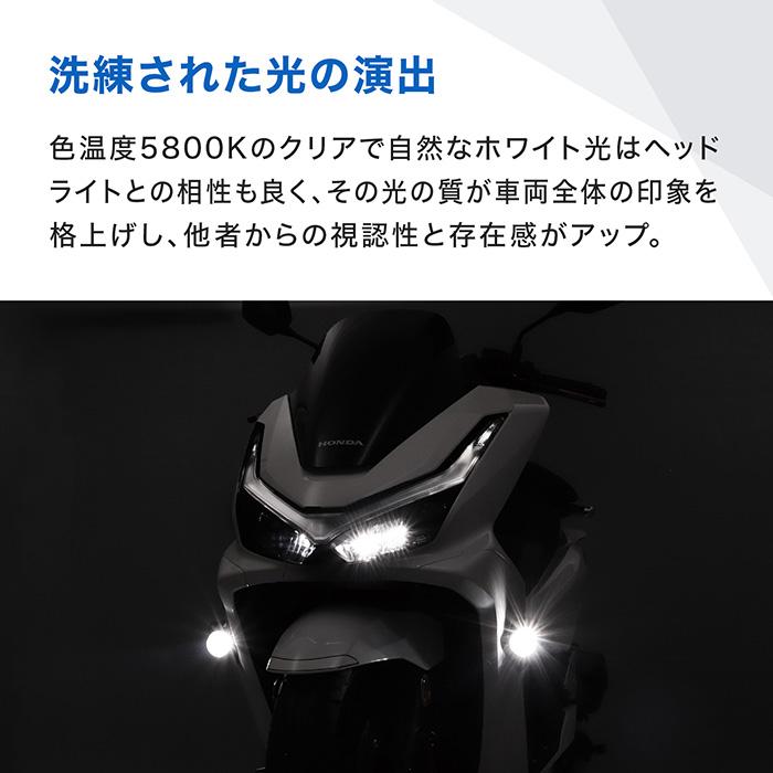 ENDURANCE（エンデュランス） PCX JK05 PCX160 KF47 ('25.2