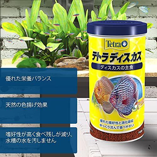 高評価の贈り物 テトラ Tetra ディスカス 300g 熱帯魚 エサ 沈下性 色揚げ Noteworthy Collectibles Com