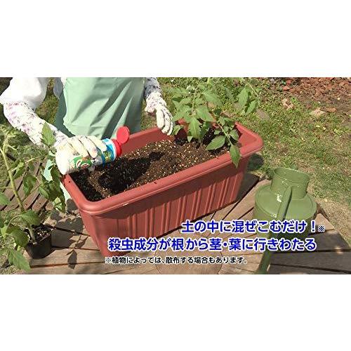 新品登場 住友化学園芸 0g オルトランdx粒剤 殺虫剤 害虫駆除 忌避剤 Www We Job Com