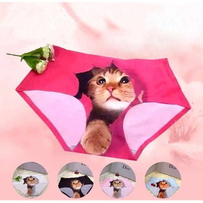 下着 ショーツ 猫パンツ キャット レディース シームレスショーツ ひびかない パンツ 猫 キャット ねこ アンダーウエア レデ Hane1 X Clothesファッション通販 通販 Yahoo ショッピング