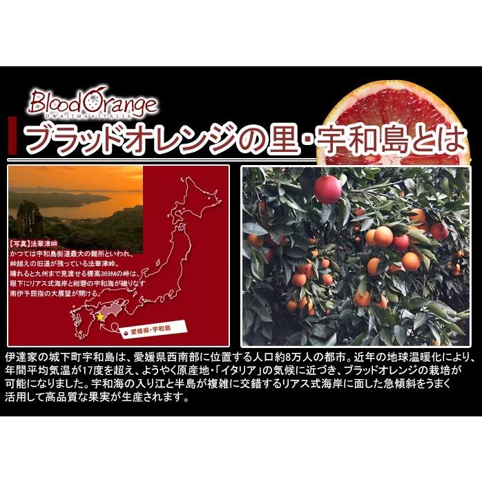 国産 ブラッドオレンジ モロ L 3Kg 24玉 愛媛県産 オレンジ 産地直送 JAえひめ南｜y-fresh｜02