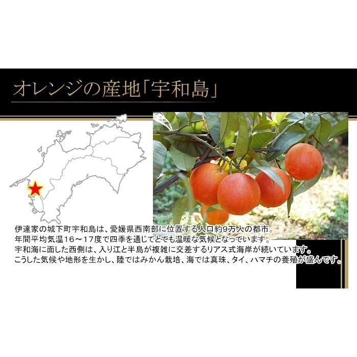 ブラッドオレンジジュース ギフト 720ml 2本 国産 愛媛県 宇和島産