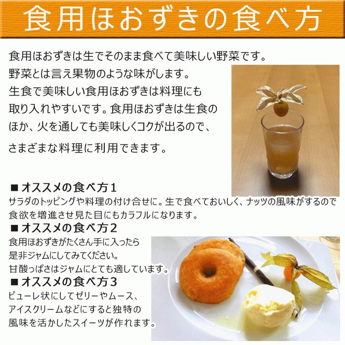 数量限定 食用ほおずき フルーツほおずき ほおずき ホオズキ 鬼灯 ゴールデンベリー フルーツのような甘酸っぱい香りとトロピカルな甘さ 長野県産 Groundcherry1 Y Fresh Premium 通販 Yahoo ショッピング