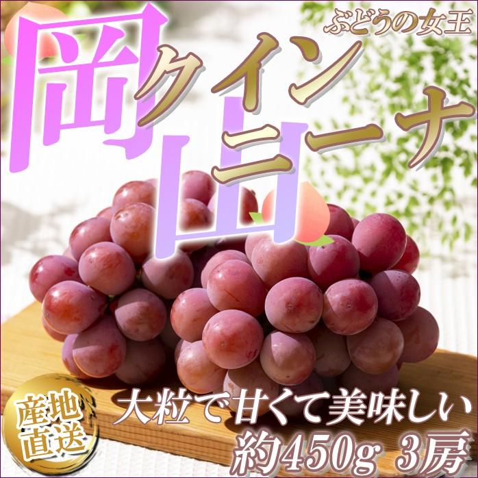 大粒 ぶどう クイーンニーナ 3房 ギフト 朝採り 種なし 酸味が少なく甘みが強い 希少品種 岡山県産 葡萄 産地直送 Queennina3p Y Fresh Premium 通販 Yahoo ショッピング