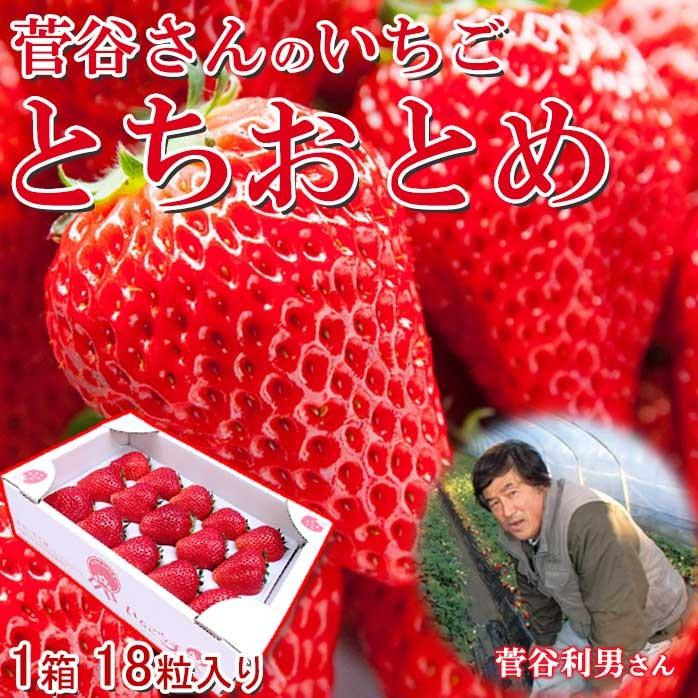 完熟 とちおとめ 18粒入 いちご ギフト いちごっ子 茨城県産 完熟 とちおとめ 18粒入 いちご ギフト いちごっ子 茨城県産