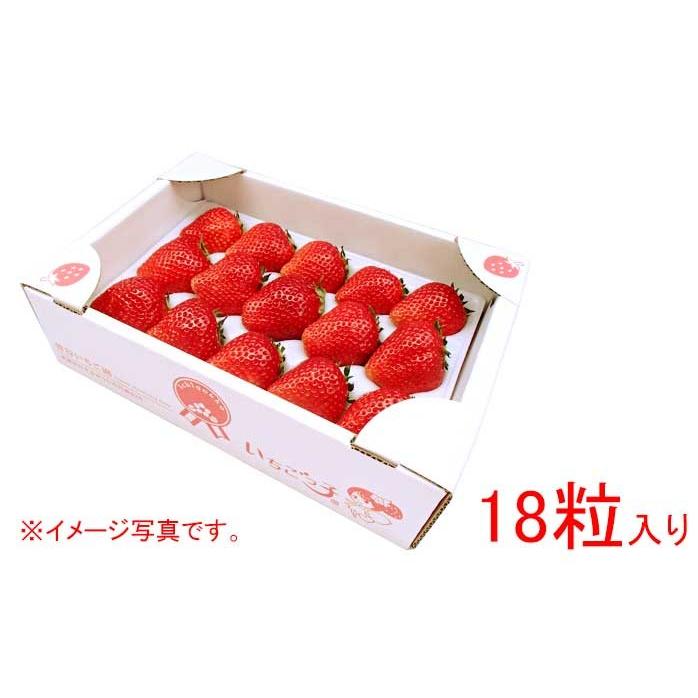 完熟 とちおとめ 18粒入 いちご ギフト いちごっ子 茨城県産 イチゴ 苺