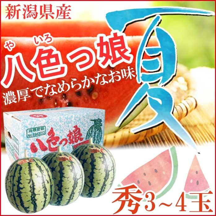 すいか 夏ギフト お中元 小玉すいか 八色っ娘 やいろっこ 秀3玉 新潟県