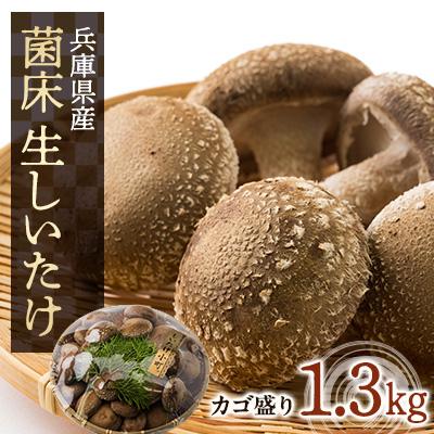 ふるさと納税 上郡町 菌床生しいたけ 1.3kg