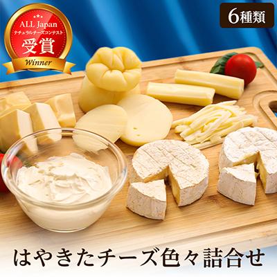 ふるさと納税 安平町 高評価! ナチュラルチーズコンテスト受賞! 夢民舎ブランド はやきたチーズ色々詰合せセット | 