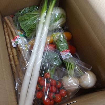 ふるさと納税 袖ケ浦市 ウィルスに負けない体を目指そう!袖ケ浦市産の新鮮野菜の詰め合わせ(ゆりの里)