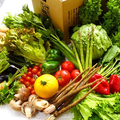 ふるさと納税 今治市 しまなみ彩野菜セット(今治産野菜の詰合せ)[VB00100]