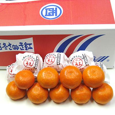 ふるさと納税 高松市 [先行受付2027年]越冬完熟小原紅早生みかん 約2.7kg