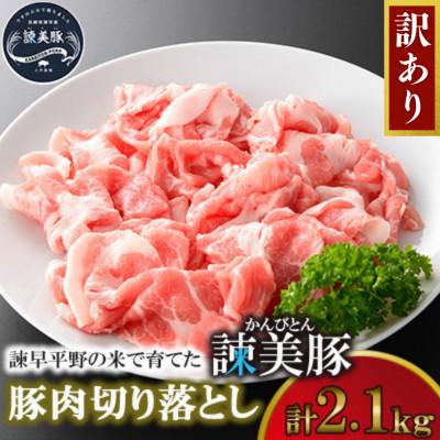 ふるさと納税 諫早市 訳あり!豚肉切り落とし2.1kg!諫早平野の米で育てた諫美豚(かんびとん)