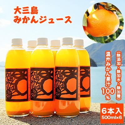 ふるさと納税 今治市 [B31]ホリ田ヤ 島みかんジュース 500ml×6本